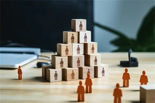 电脑并口连接什么